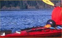 Kayak Split & Emergency Paddles