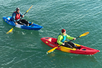 Paddles for Recreational and Sit On Top Kayaks