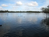 the broads national park on aboutbritain.com