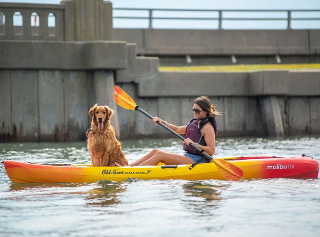 Ocean Kayak Malibu 11.5 Solo Sit On Top Kayak With Built In AirComfort™ On The Water With A Dog - For Sale At Ocean Kayak UK - Norfolk Canoes UK