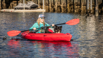Riot Bayside 10 Foot Touring Kayak With A Large Open Cockpit On The Water With A Dog Sat Inside